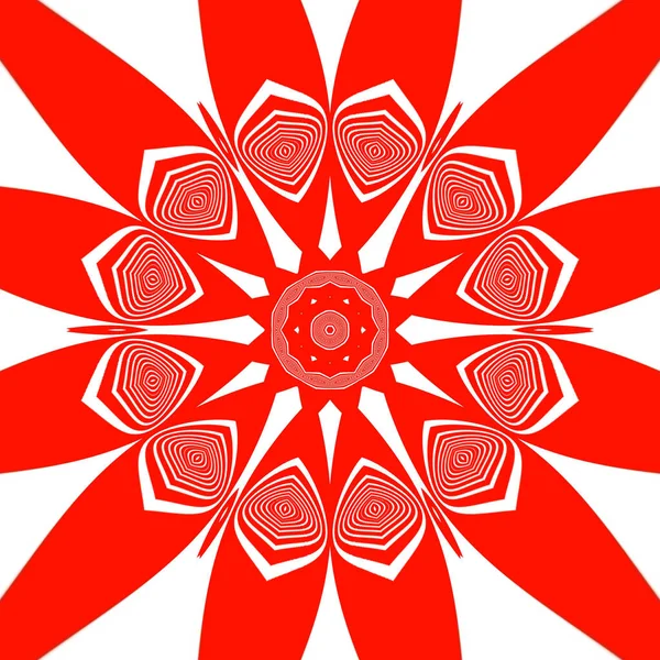 Rood Wit Bloemen Fantasie Witte Achtergrond — Stockfoto