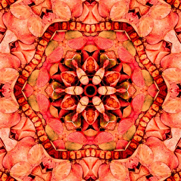 Cirkelvormige Caleidoscopische Patroon Levendige Hexagonale Ontwerp Herfst Rood Oranje Perzik — Stockfoto