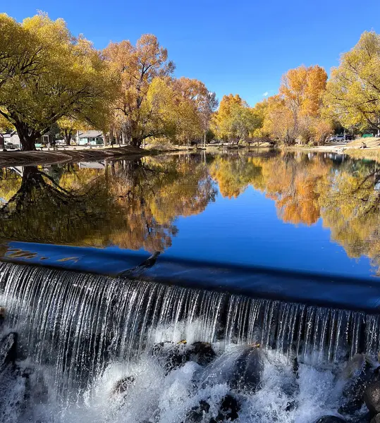 Colorado 'daki Cottonwood Creek' te sonbahar renkleri 