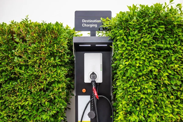 Elektromos Autó Töltőállomás Közepén Zöld Fák Szimbolizálja Tiszta Energia Környezetvédelem — Stock Fotó