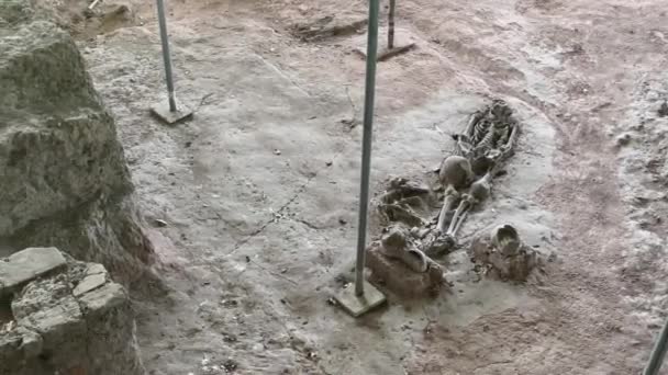 Thep Historical Park Phetchabun タイで発見されたデュラヴァティ時代のアイテムと人間と犬の骨格 — ストック動画