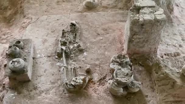 Menneskelige Skeletter Hundeskeletter Med Genstande Fra Dvaravati Perioden Opdaget Thep – Stock-video