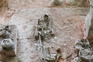 Dvaravati döneminden kalma insan ve köpek iskeletleri Tayland 'ın Phetchabun Eyaleti' ndeki Si Thep Tarihi Parkı 'nda bulundu..