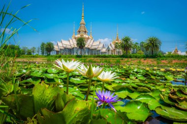 Nilüfer havuzlu Wat Non Kum Budizm 'in sembolü olarak kabul edilir. Sikhio Bölgesi, Nakhon Ratchasima Eyaleti, Tayland. Odak nilüfer seç