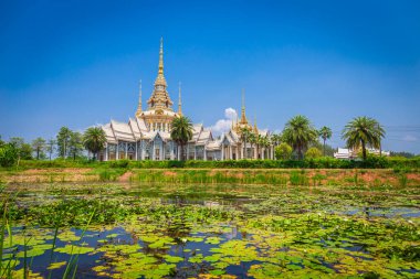 Nilüfer havuzlu Wat Non Kum Budizm 'in sembolü olarak kabul edilir. Sikhio Bölgesi, Nakhon Ratchasima Eyaleti, Tayland. Odak nilüfer seç