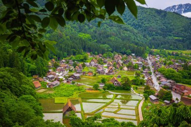 Dünya Mirası Shirakawago Köyü, Japonya 'nın Gifu ilinin 1995 yılında UNESCO Dünya Mirası olarak kayıtlı Shogawa Nehri yakınlarındaki bir vadide bulunan bir tarım köyüdür..