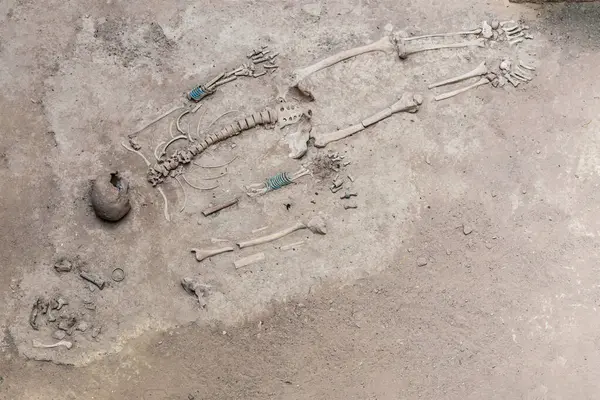 Prehistoric human skeleton between 1,500-3,000 years old at Ban Prasat archaeological site, Non Sung District, Nakhon Ratchasima Province, Thailand.