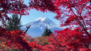 Fuji Dağı, Japonya 'nın Yamanashi kentindeki Kawaguchiko Gölü' nde karla kaplı güzel sonbahar yapraklarının manzarası popüler bir turizm beldesidir..