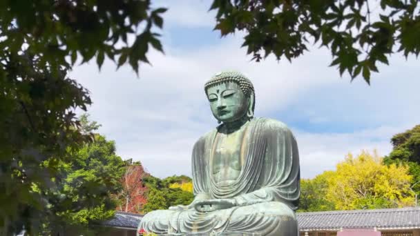 Der Große Buddha Daibutsu Ein Blick Durch Die Herbstblätter Ist — Stockvideo