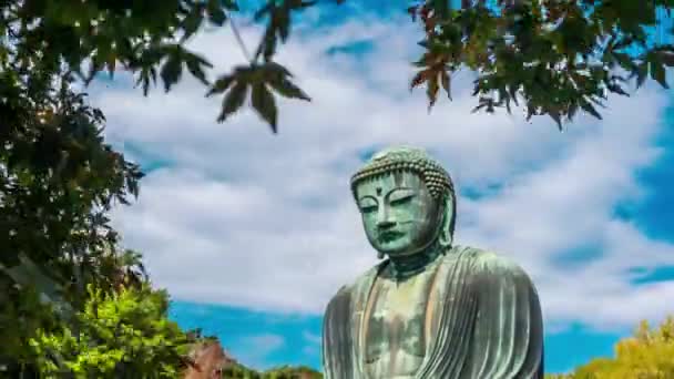 Тимелапс Великого Будди Дайбуцу Вид Крізь Осіннє Листя Ланмаком Священне — стокове відео