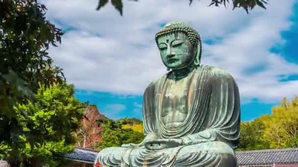Zeitraffer Des Großen Buddha Daibutsu Ein Blick Durch Die Herbstblätter — Stockvideo