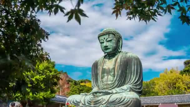Timelapse Van Great Buddha Daibutsu Een Uitzicht Door Herfst Loof — Stockvideo