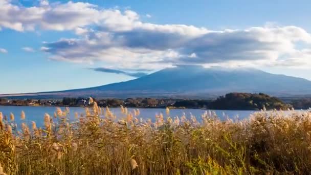 Timelapse Mount Fuji View Oishi Park Magnifique Lac Kawaguchiko Enneigé — Video