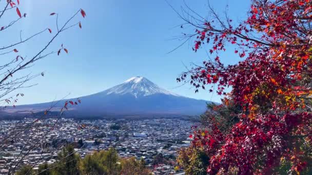 Mount Fuji Pohled Krásné Podzimní Listí Pokryté Sněhem Jezera Kawaguchiko Royalty Free Stock Záběr