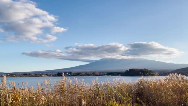 Mount Fuji Utsikten Från Vackra Höstlöven Täckta Med Snö Vid — Stockvideo