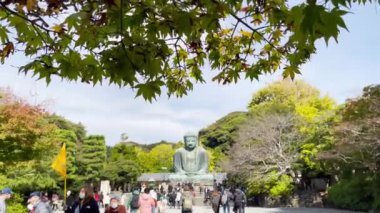 Büyük Buda Daibutsu, sonbahar yaprakları arasında bir manzaradır ve kutsal yer Kotokuin Tapınağı 'ndadır. Japonya 'nın Kamakura şehrinin sembolü.