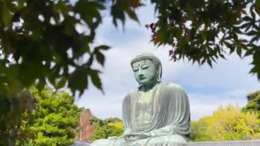 Büyük Buda Daibutsu, sonbahar yaprakları arasında bir manzaradır ve kutsal yer Kotokuin Tapınağı 'ndadır. Japonya 'nın Kamakura şehrinin sembolü.