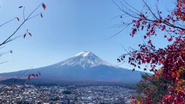 Mount Fuji Pohled Krásné Podzimní Listí Pokryté Sněhem Jezera Kawaguchiko Videoklip