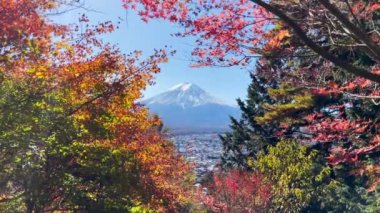 Fuji Dağı, Japonya 'nın Yamanashi kentindeki Kawaguchiko Gölü' nde karla kaplı güzel sonbahar yapraklarının manzarası popüler bir turizm beldesidir..