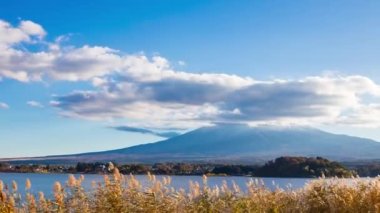 Oishi Park 'tan Fuji Dağı manzaralı güzel karla kaplı Kawaguchiko Gölü, Yamanashi, Japonya, popüler bir turizm beldesi..