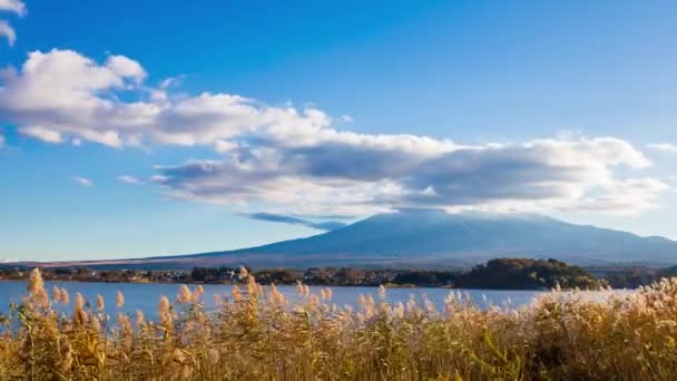 Timelapse Del Monte Fuji Vista Dal Parco Oishi Bellissimo Lago — Video Stock