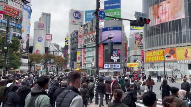 日本东京 2023年11月15日 许多当地人和游客穿过石谷过境点的公路 以及路上的交通 那是东京的一个有名的地方 免版税图库视频片段