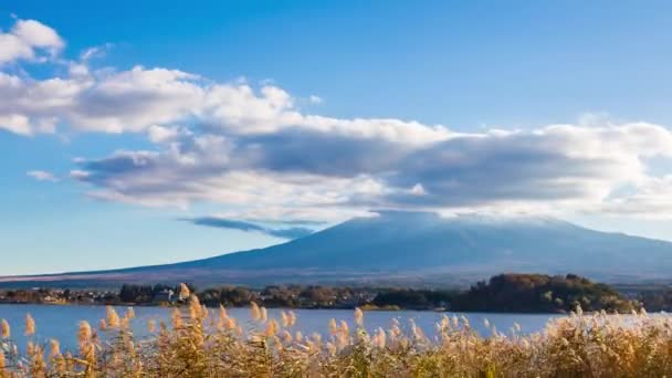 大石公園からの富士山の景色のタイムラプス 山梨県川口湖は 人気の観光地です — ストック動画