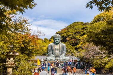 Kanagawa, Japonya - 13 Kasım 2023: Kotokuin Tapınağı 'ndaki Daibutsu veya Büyük Buda' nın önündeki insanlar önemli bir dönüm noktası ve turist ve hacılar için popüler bir yerdir..