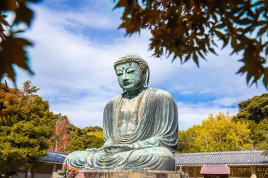 Japonya 'nın Kanagawa bölgesindeki Kotokuin Tapınağı' nda bulunan Daibutsu ya da Kamakura 'nın Büyük Buda' sı yaprakların renk değiştirmesiyle önemli bir dönüm noktası ve turistler ve hacılar için popüler bir yerdir..
