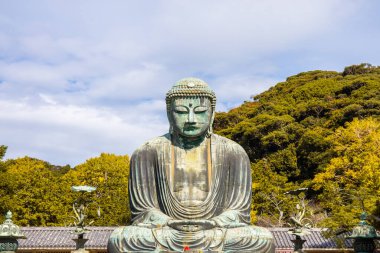 Japonya 'nın Kanagawa bölgesindeki Kotokuin Tapınağı' nda bulunan Daibutsu ya da Kamakura 'nın Büyük Buda' sı yaprakların renk değiştirmesiyle önemli bir dönüm noktası ve turistler ve hacılar için popüler bir yerdir..