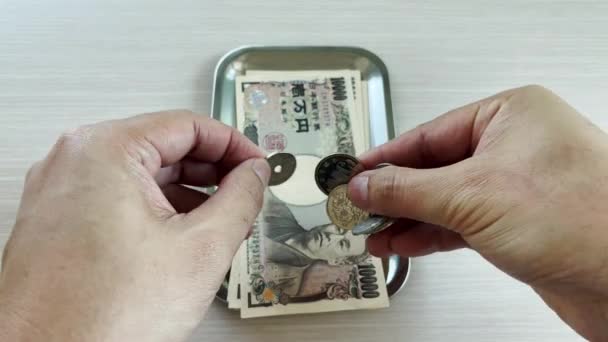Eller Yenleri Sayar Hem Banknotları Hem Paraları Alışveriş Seyahat Için — Stok video