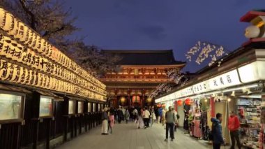 Tokyo, Japonya - Nisan 2024: Sensoji Tapınağı önündeki turist ve hacılar, kırmızı fenerler, ışıklar ve gece vakti kiraz çiçekleri açarken hediyelik eşya dükkanları.
