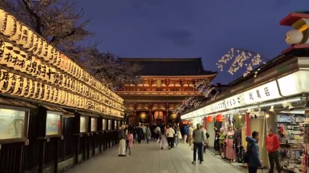 Tokyo Japan April 2024 Turister Och Pilgrimer Framför Sensoji Temple — Stockvideo