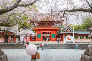 Fujinomiya, Japonya 07 Nisan 2024: İnsanlar Japonya 'nın Shizuoka kentinde kiraz çiçeklerinin açtığı Fujisan Hongu Sengen Taisha Shinto Tapınağını ziyaret ediyor