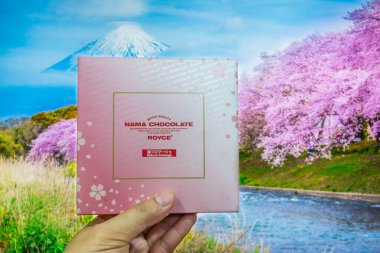 TOKYO, JAPAN - 5 Haziran 2024: Sakura aromalı çikolata sürümü sadece kiraz çiçeği mevsiminde satılan birinci sınıf bir çikolatadır. Fuji Dağı arkaplanına sahip tatlı ve lezzetli..