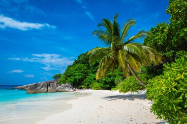 Mavi gökyüzü ve bulutlarla güzel manzara, Similan adasında mavi deniz ve beyaz kumsal, Similan ulusal parkında 8 numara, Phuket, Tayland turistler için en popüler tatil..