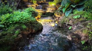 Bahçe havuzunda, şelaleleri ve ormandaki yansımaları ve yeşil zemini olan büyük, güzel renkli koi balığı rahatlatıcı, peri masalı atmosferi yaratır..