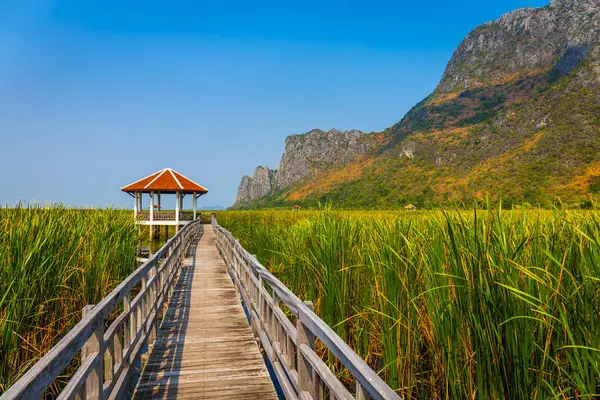 Khao Sam Roi Yot Milli Parkı, Kui Buri District, Prachuap Khiri Khan, Tayland mavi gökyüzü dağ arka plan ile çim alan ile bataklık ahşap köprü geçit güzel manzara