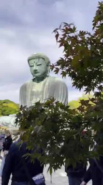 Kanagawa, Japonya - 13 Kasım 2023: Kotokuin Tapınağındaki Büyük Buda popüler bir turist ve hac mekanıdır..