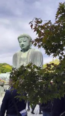 Kanagawa, Japonya - 13 Kasım 2023: Kotokuin Tapınağındaki Büyük Buda popüler bir turist ve hac mekanıdır..