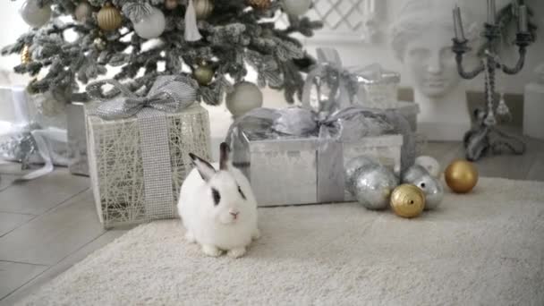 新年のシンボルとして木の下に贈り物を持つ白ウサギ 2023 — ストック動画
