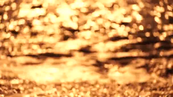 Verschwommenes Goldenes Meer Bei Sonnenuntergang Die Sonne Reflektiert Und Funkelt — Stockvideo