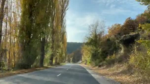 โอของถนนในฤด ใบไม วงเป ในต นฤด ใบไม Poplars บใบส เหล องตามถนน — วีดีโอสต็อก
