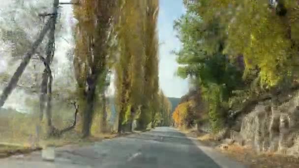 Video Carretera Otoño Buen Día Principios Otoño Álamos Con Hojas — Vídeo de stock