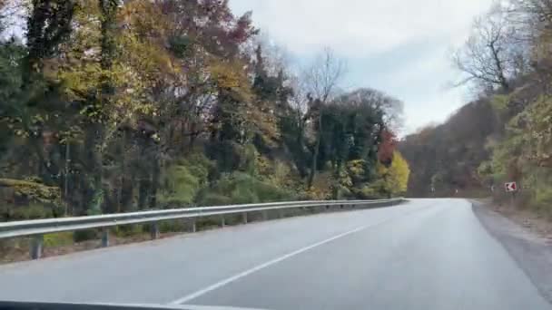 秋天的路上录像 初秋的晴天 道路两旁长着黄叶的杨树 — 图库视频影像