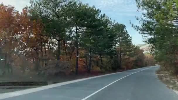 秋天的路上录像 初秋的晴天 道路两旁长着黄叶的杨树 — 图库视频影像