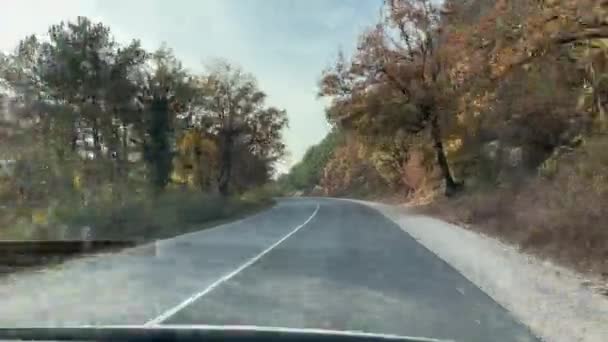 Video Carretera Otoño Buen Día Principios Otoño Álamos Con Hojas — Vídeos de Stock