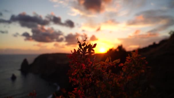 秋の葉からの夕日を眺める 海の背景と海の著名な岩 秋のケープ フィオレント 自然の背景 — ストック動画