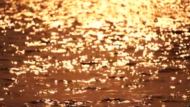 Wazig Gouden Zee Bij Zonsondergang Zon Reflecteert Fonkelt Golven Met — Stockvideo