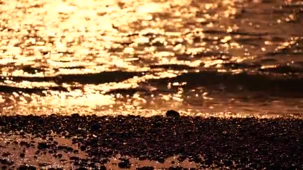 Mar Dourado Borrado Pôr Sol Sol Reflete Brilha Nas Ondas — Vídeo de Stock